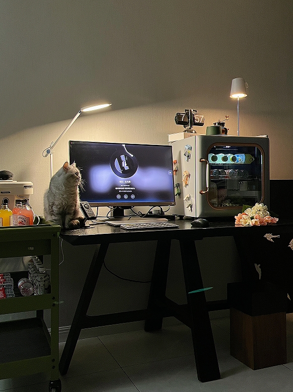 微信截图_20240306110906.png